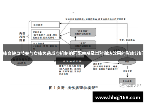 体育健身节奏与身体负荷反应机制的匹配关系及其对训练效果的影响分析